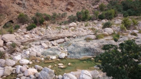 Wadi Tiwi